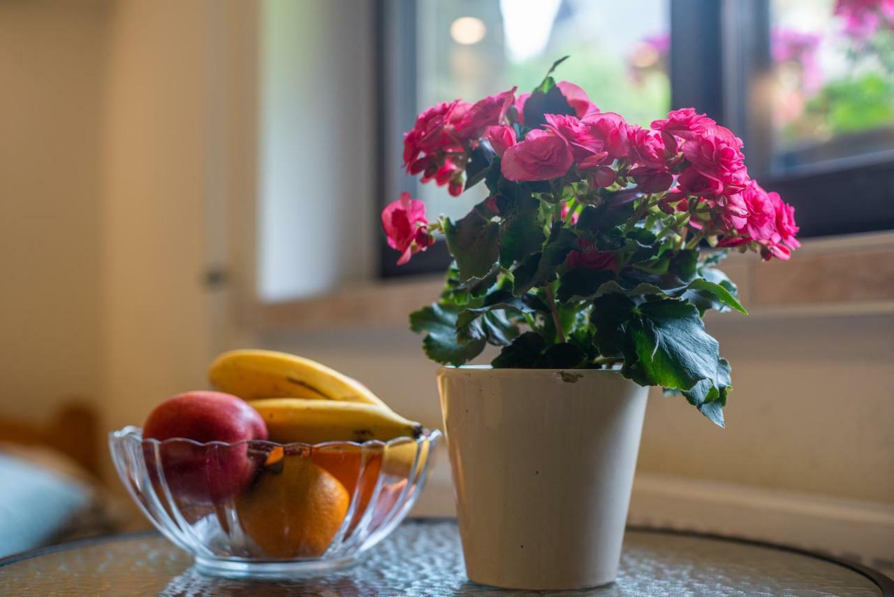 Apartament Ewa Zakopane Eksteriør billede